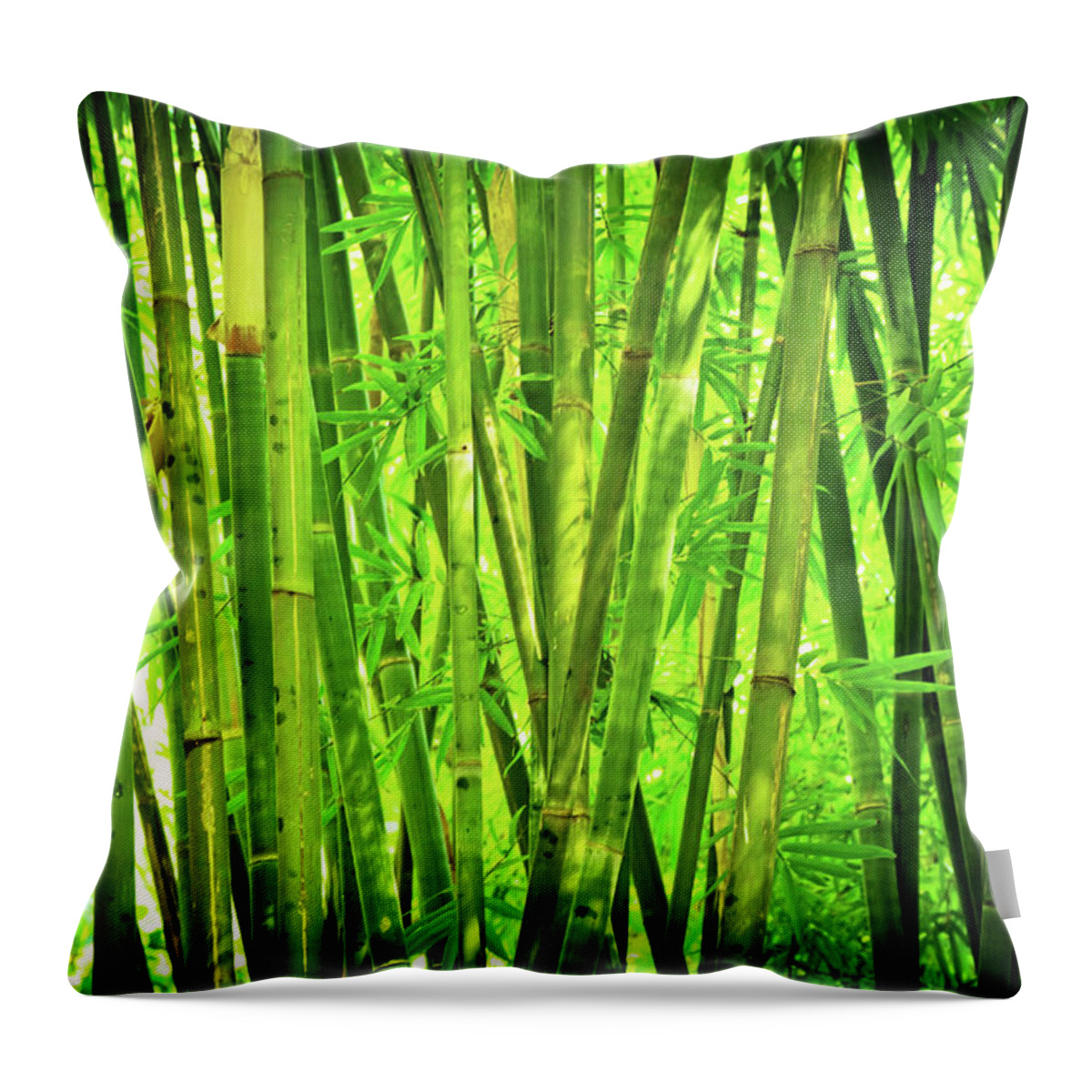 Grass Throw Pillow featuring the photograph Bamboo Forest by Nikada