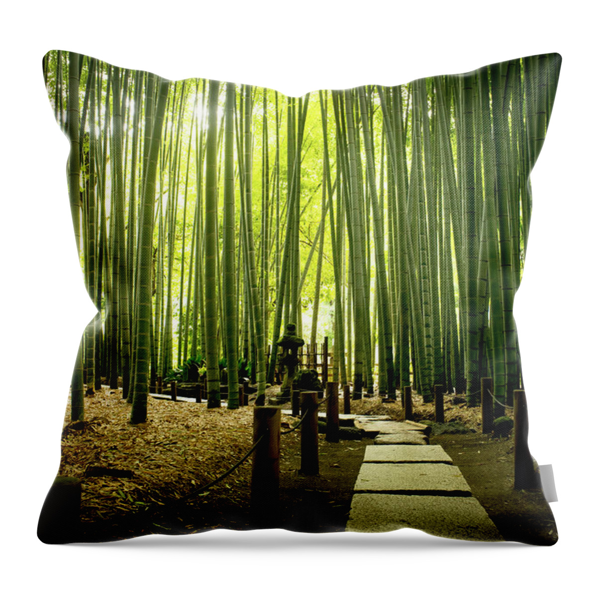 Tranquility Throw Pillow featuring the photograph Bamboo Grove At Houkoku-ji Temple by Marser