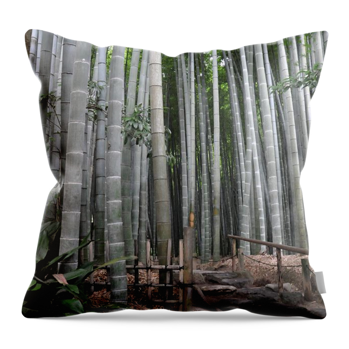 Tranquility Throw Pillow featuring the photograph Bamboo Grove by Masakazu Ejiri