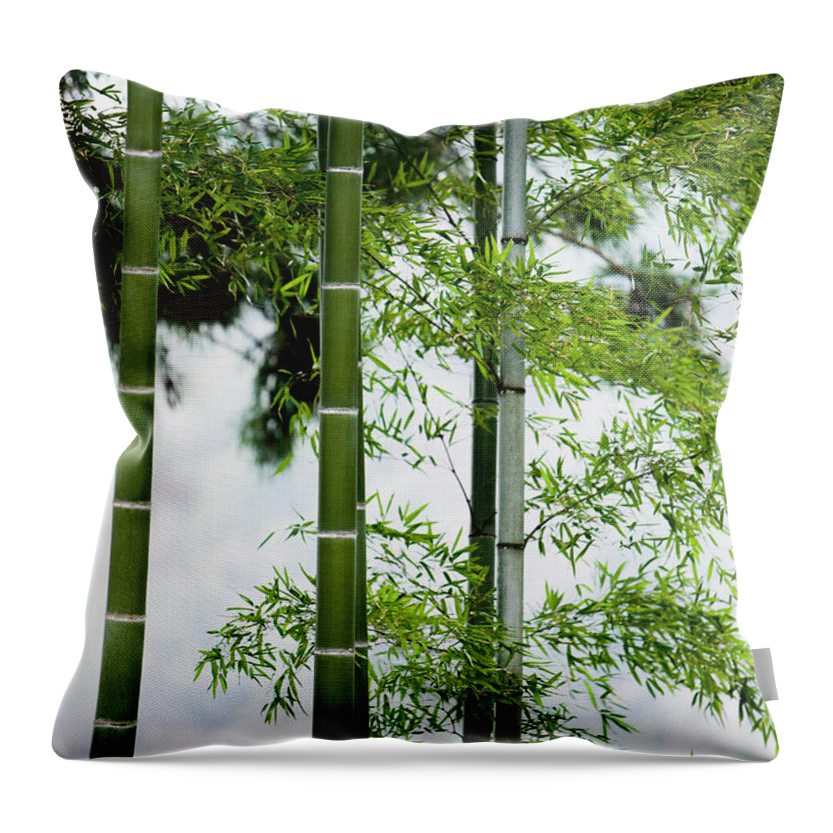 Bamboo Throw Pillow featuring the photograph Bamboo by Mixa