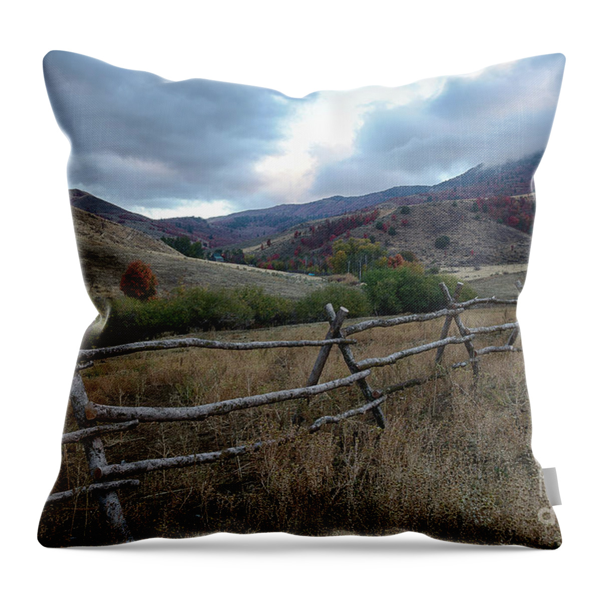 Bannock Mountains Throw Pillow featuring the photograph Bannock Homestead by Idaho Scenic Images Linda Lantzy
