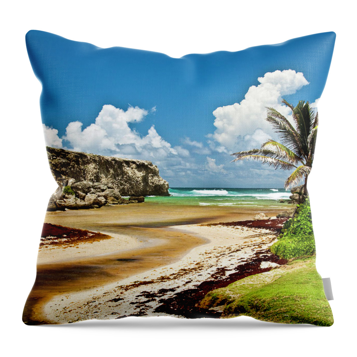 Scenics Throw Pillow featuring the photograph Barbados Coastline by Christopher Kimmel