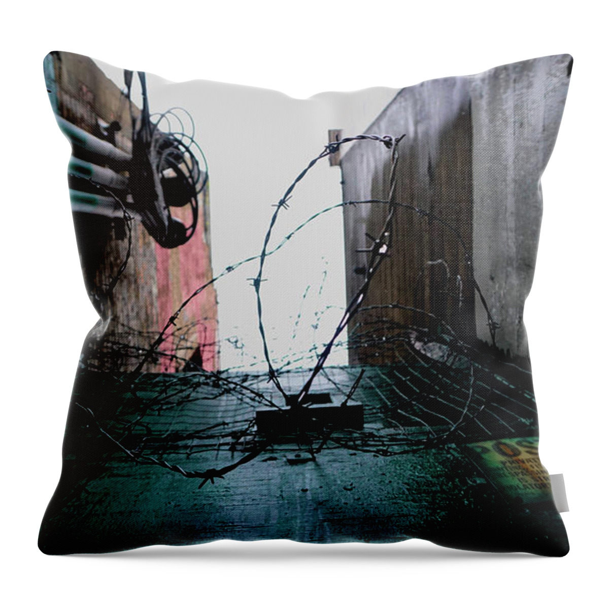 Seattle Throw Pillow featuring the photograph Barbed Wire City Scene by Cathy Anderson