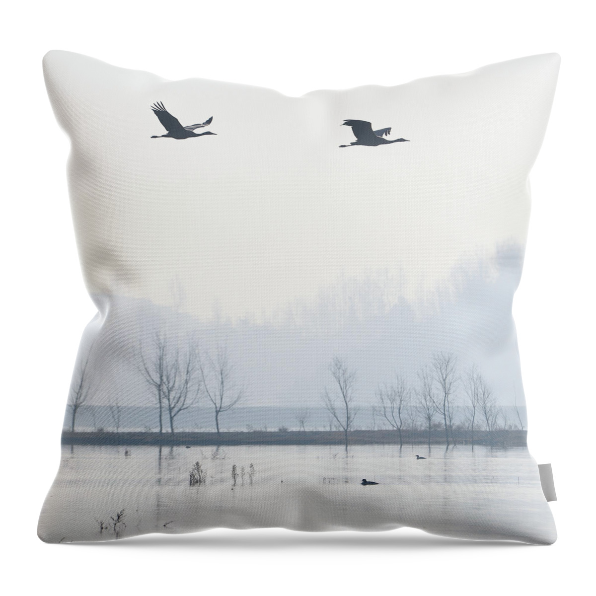 Animal Themes Throw Pillow featuring the photograph Bare Trees In Lake by Gary76973