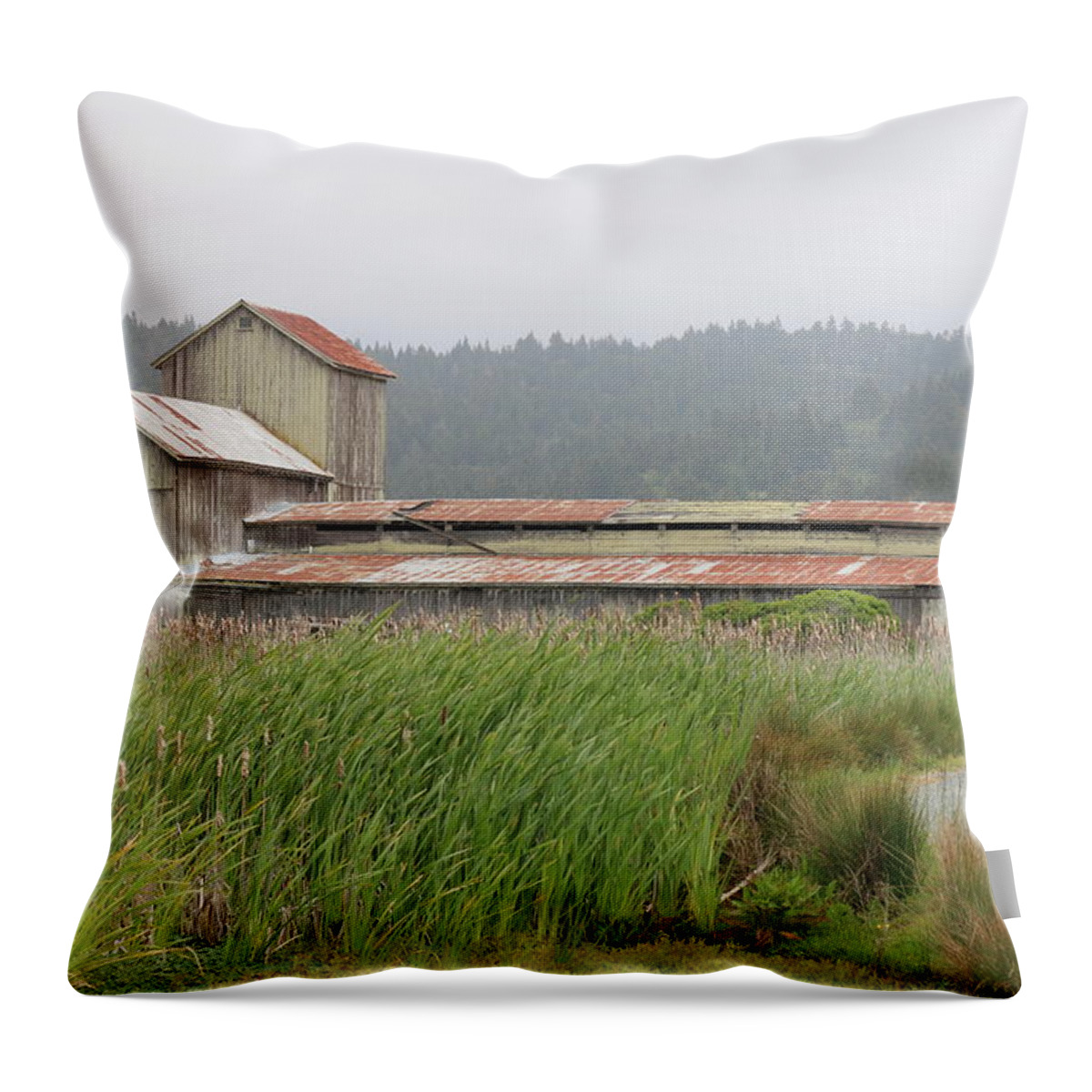 Barn Throw Pillow featuring the photograph Barn by Christy Pooschke
