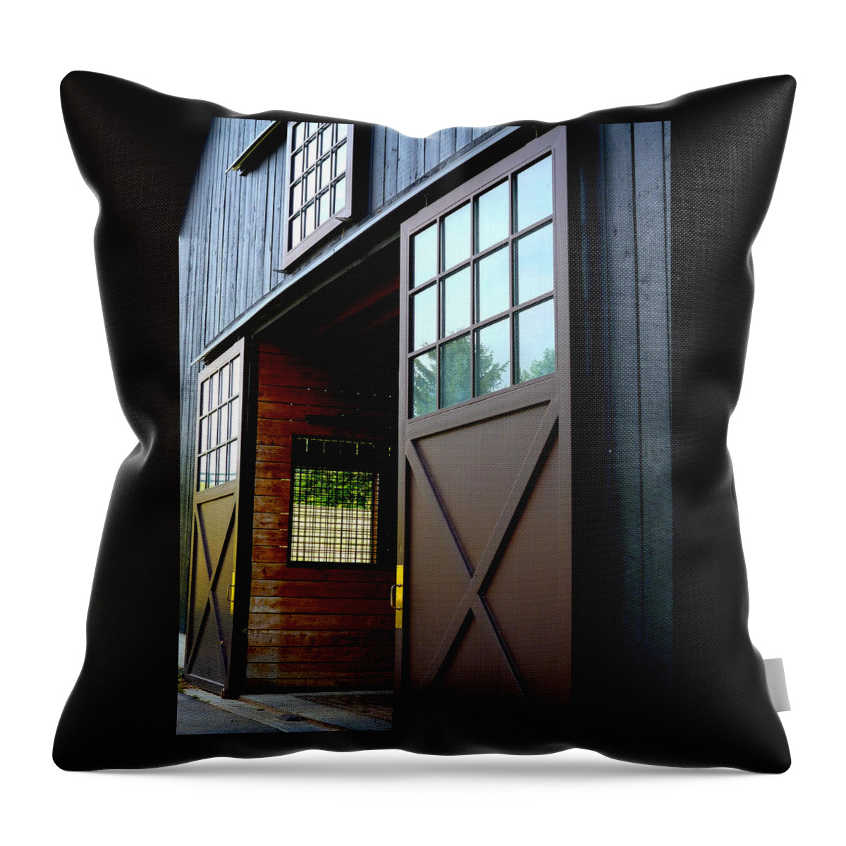 Horse Barn Throw Pillow featuring the photograph Barn Door Perspective by Mike McBrayer