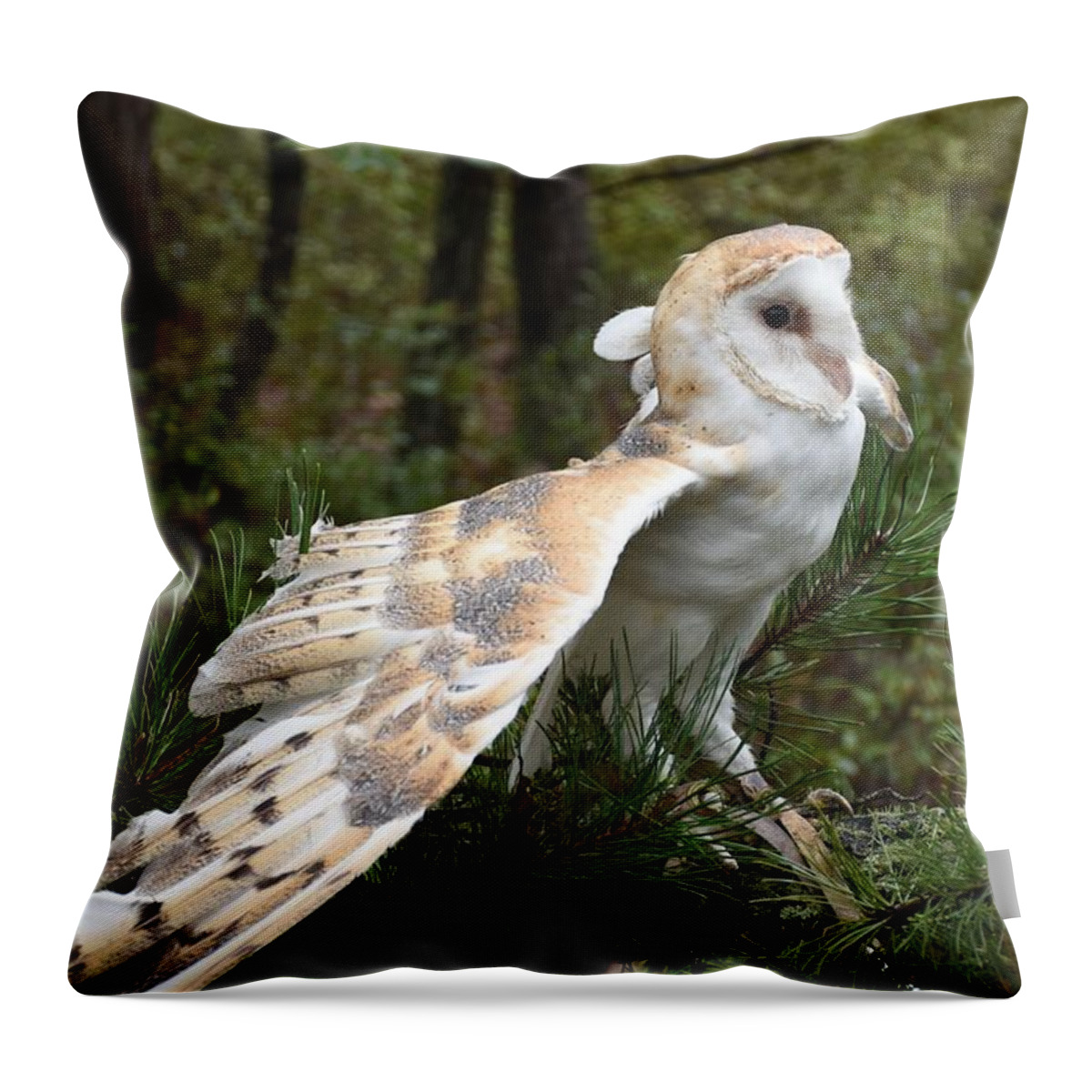 Barn Owl Throw Pillow featuring the photograph Barn Owl 528 by Joyce StJames
