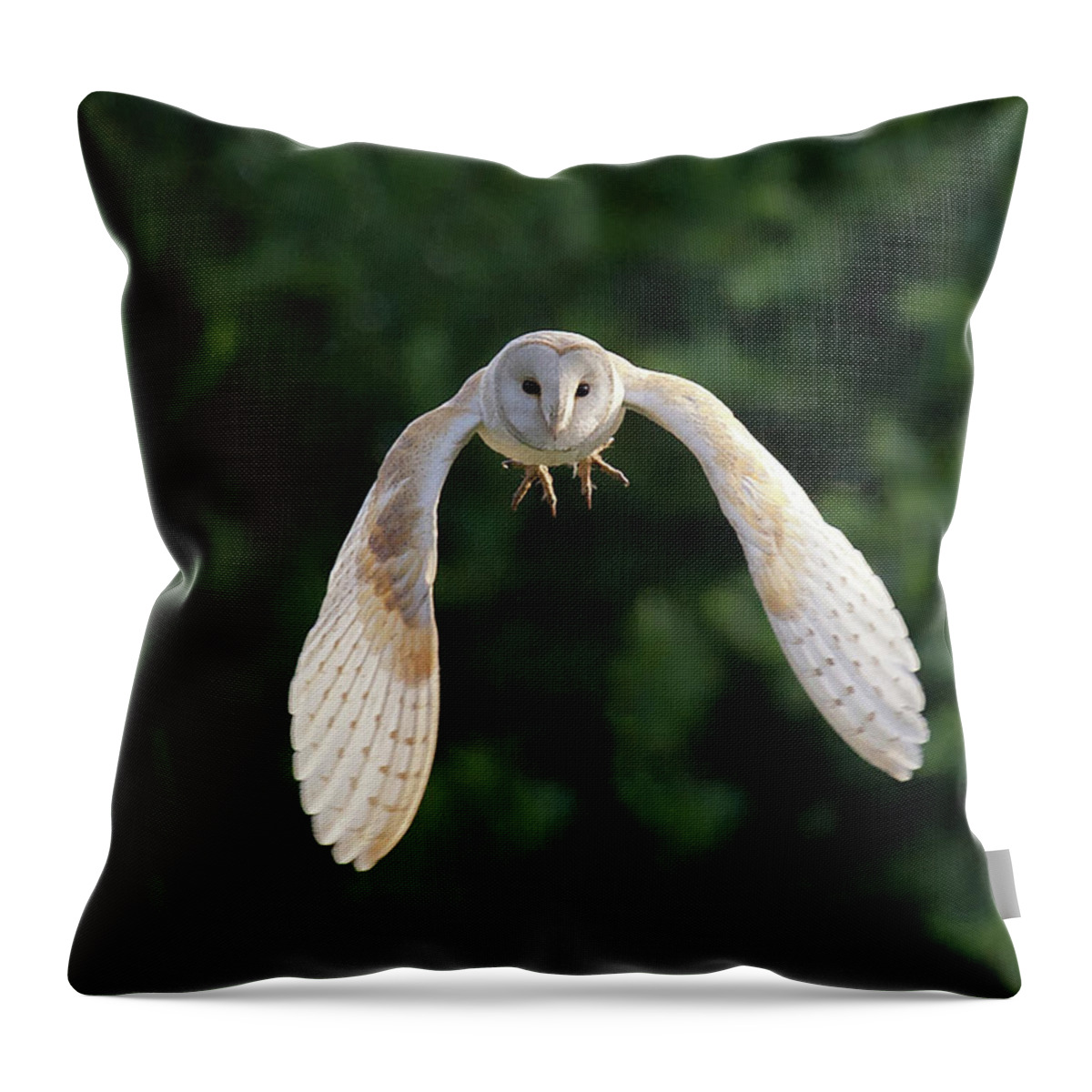 Animal Themes Throw Pillow featuring the photograph Barn Owl Flying by Tony Mclean