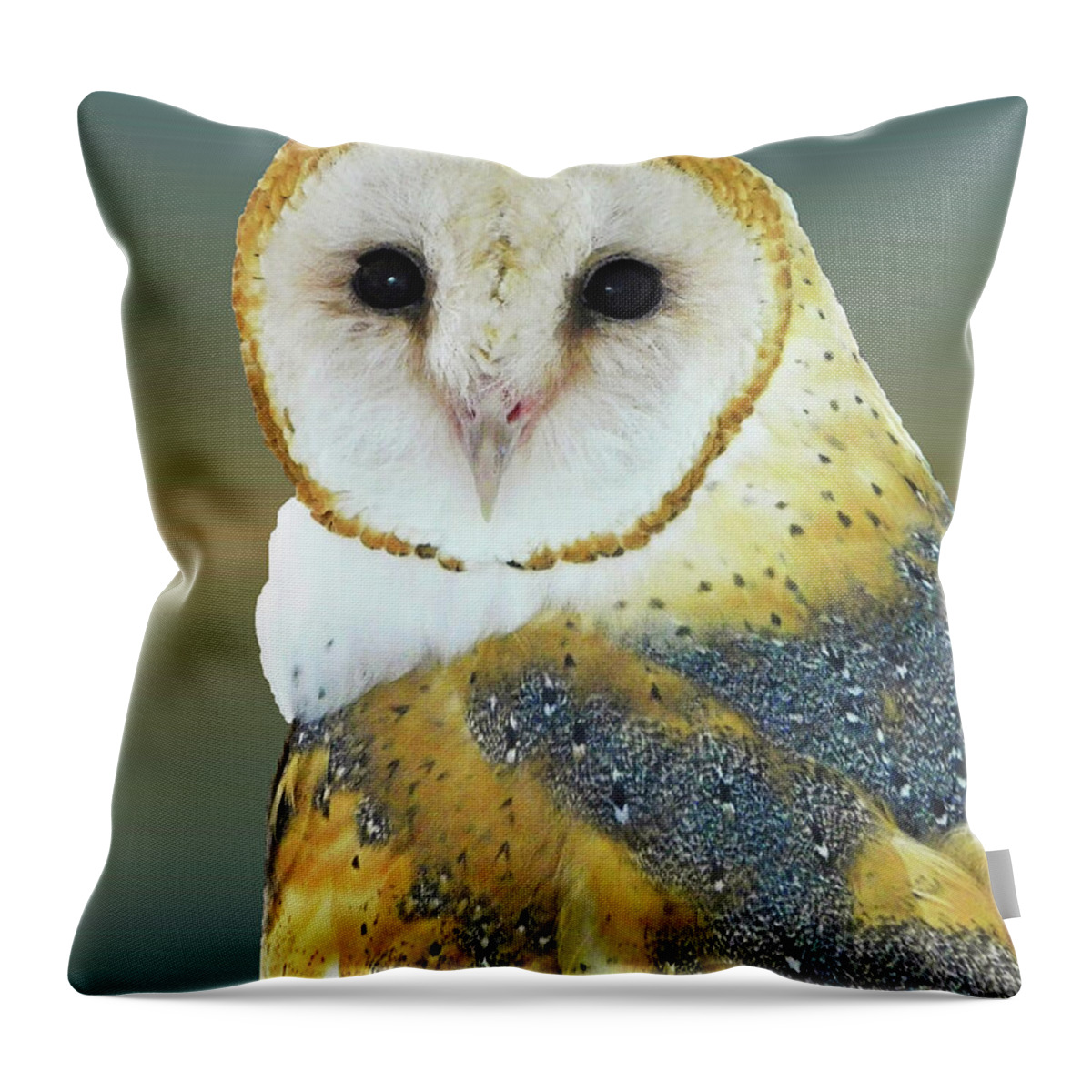 Barn Owls Throw Pillow featuring the photograph Barn Owl Portrait by Emmy Marie Vickers
