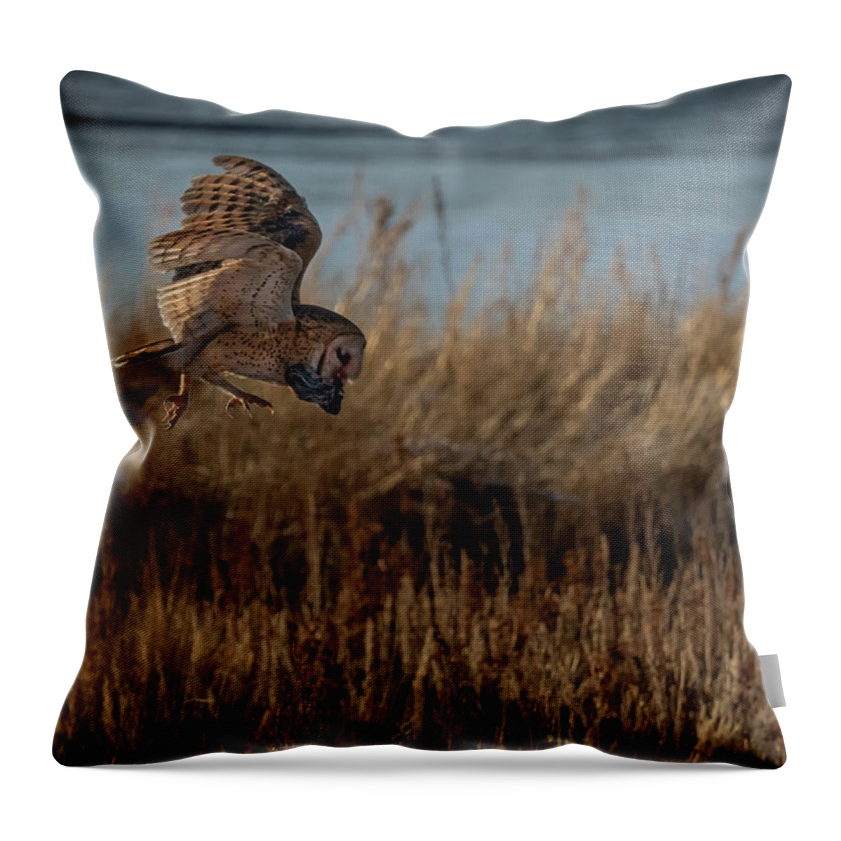Owl Throw Pillow featuring the photograph Barn Owl with Vole by Rick Mosher