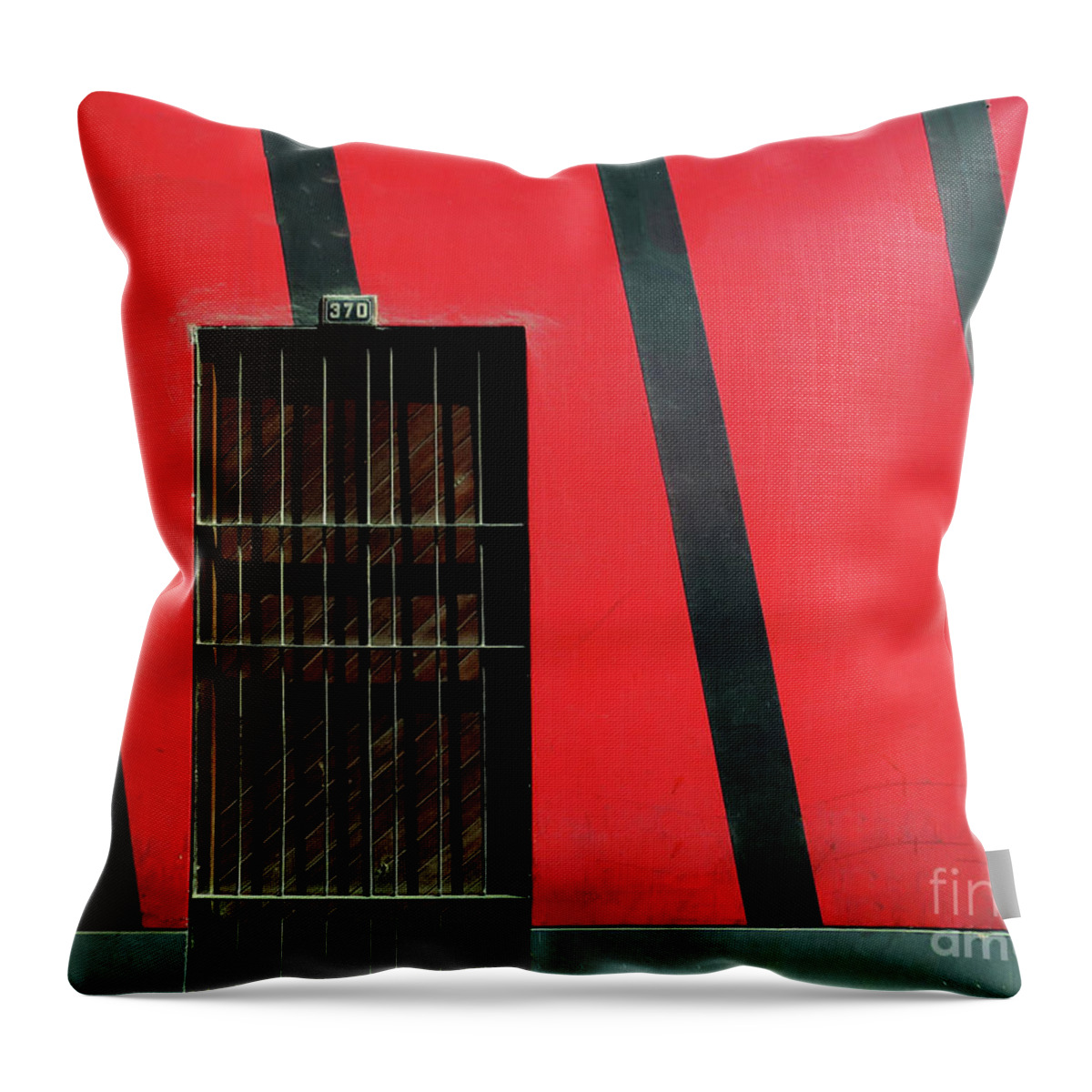 Door Throw Pillow featuring the photograph Bars and Stripes by Rick Locke - Out of the Corner of My Eye