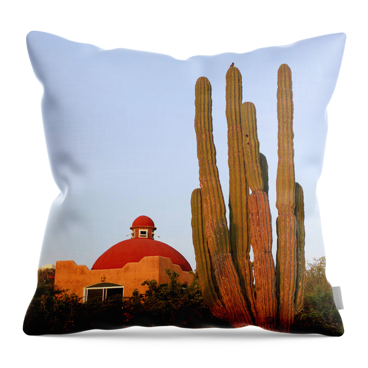 Estock Throw Pillow featuring the digital art Bay Resort, La Ventana, Mexico by Heeb Photos