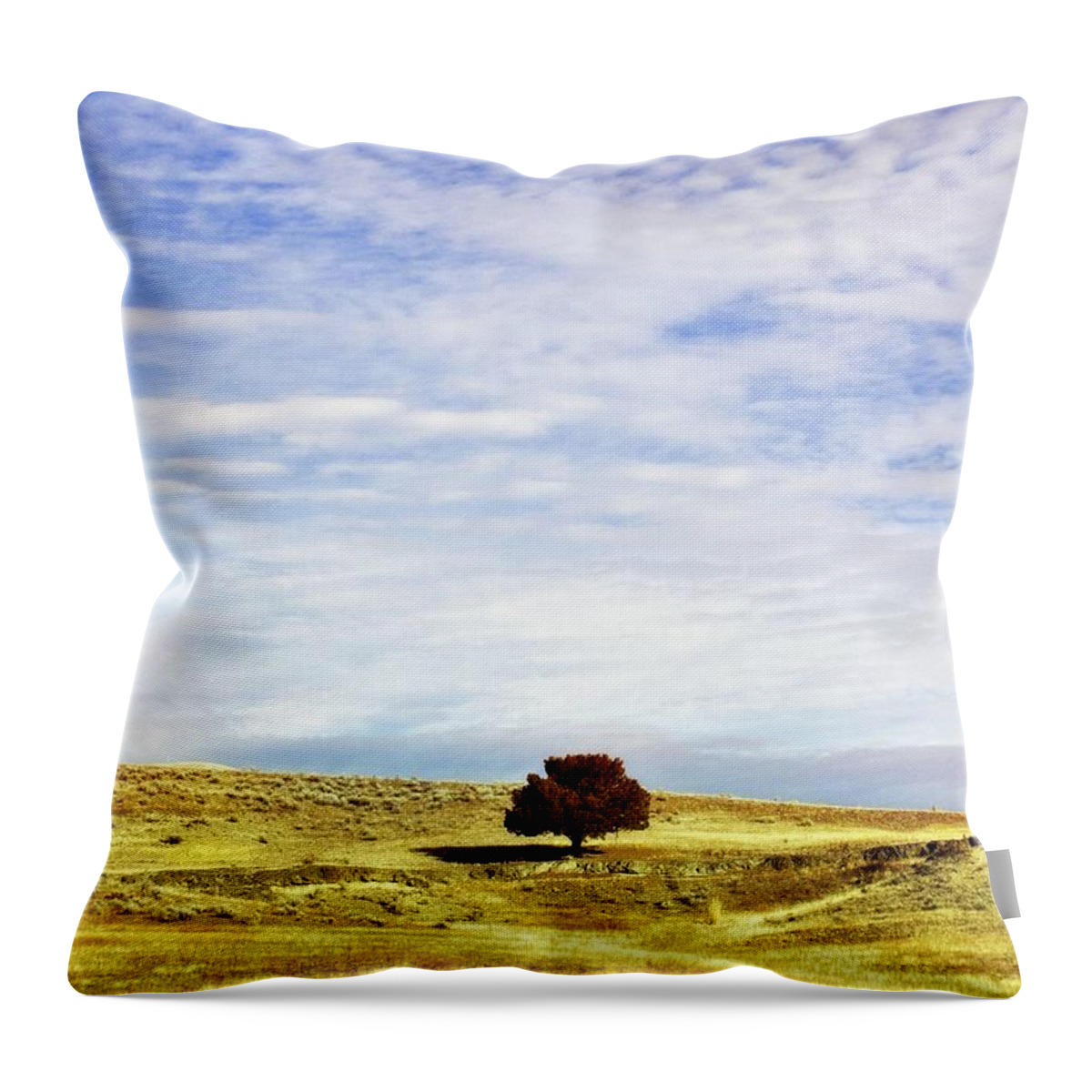 Tranquility Throw Pillow featuring the photograph Be Able To Be Alone. Lose Not The by Darrell Wyatt