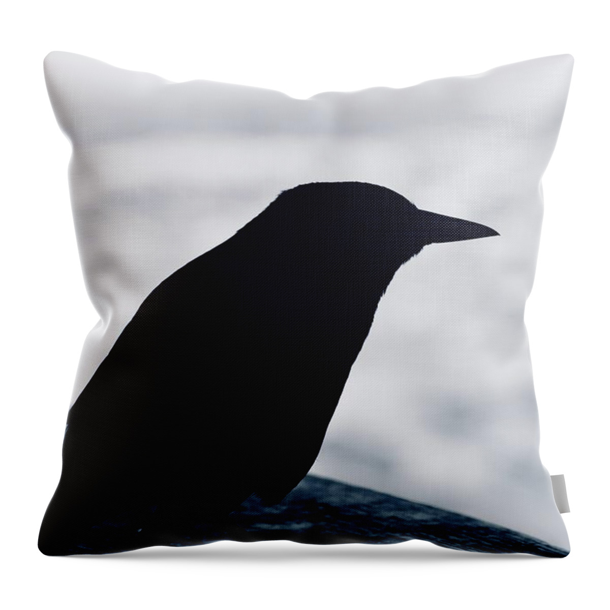 Beach Bird Silhouette Throw Pillow featuring the photograph Beach Bird Silhouette by Debra Grace Addison