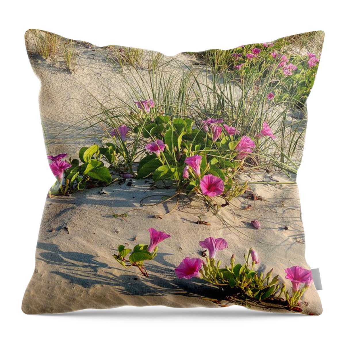 Morning Throw Pillow featuring the photograph Beach Decor by Gordon Beck