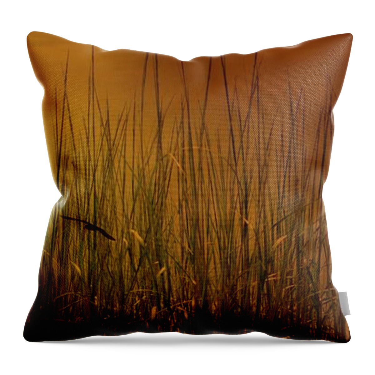 Marcia Lee Jones Throw Pillow featuring the photograph Beach Grasses by Marcia Lee Jones
