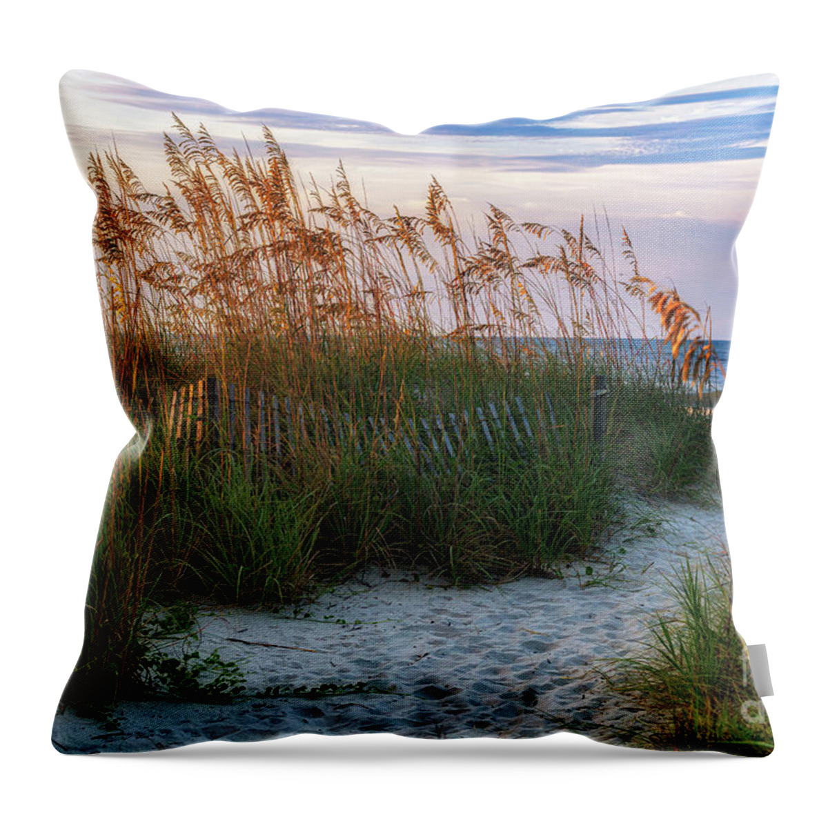 Beach Path Throw Pillow featuring the photograph Beach Path Ocean Drive by David Smith