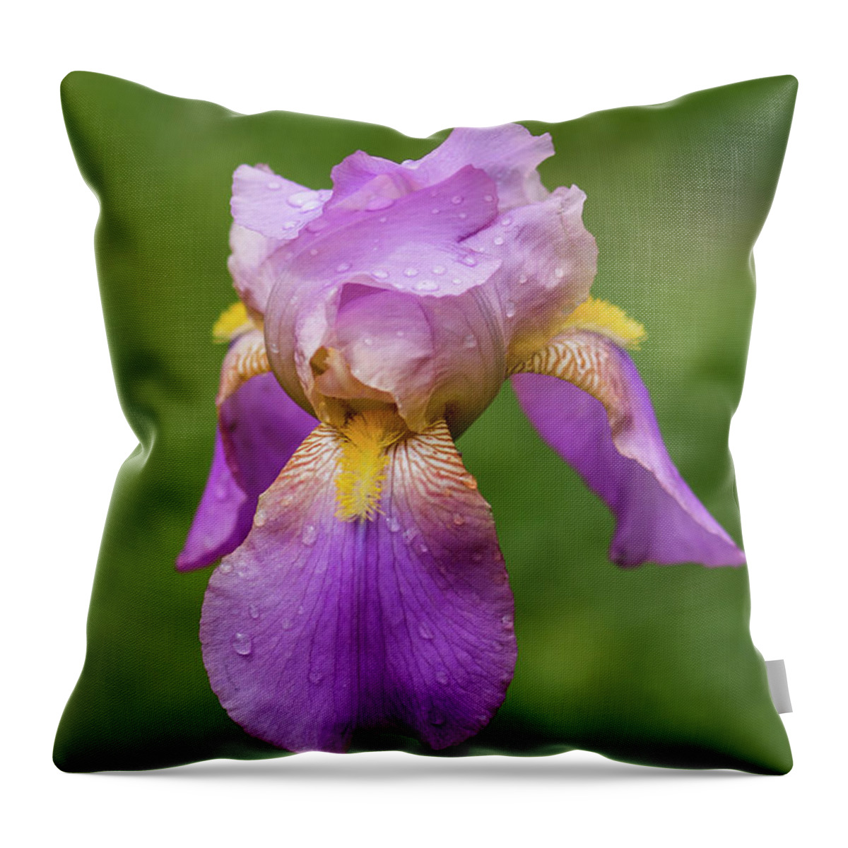 Iris Throw Pillow featuring the photograph Bearded Iris by Lisa Lemmons-Powers