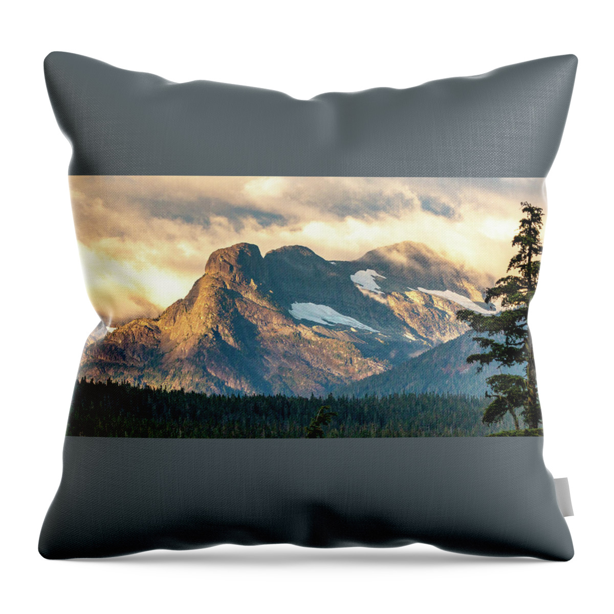 Landscapes Throw Pillow featuring the photograph Beaufort Range by Claude Dalley