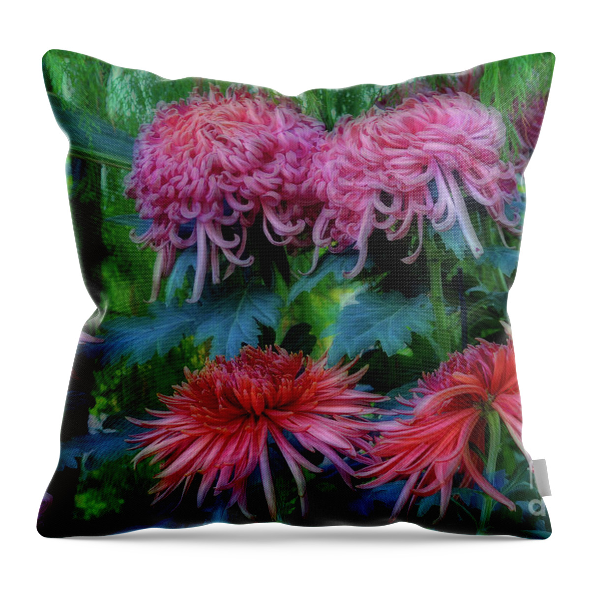 Flowers Flora Chrysanthemum Throw Pillow featuring the photograph Beautiful Chrysanthemums by Elaine Manley