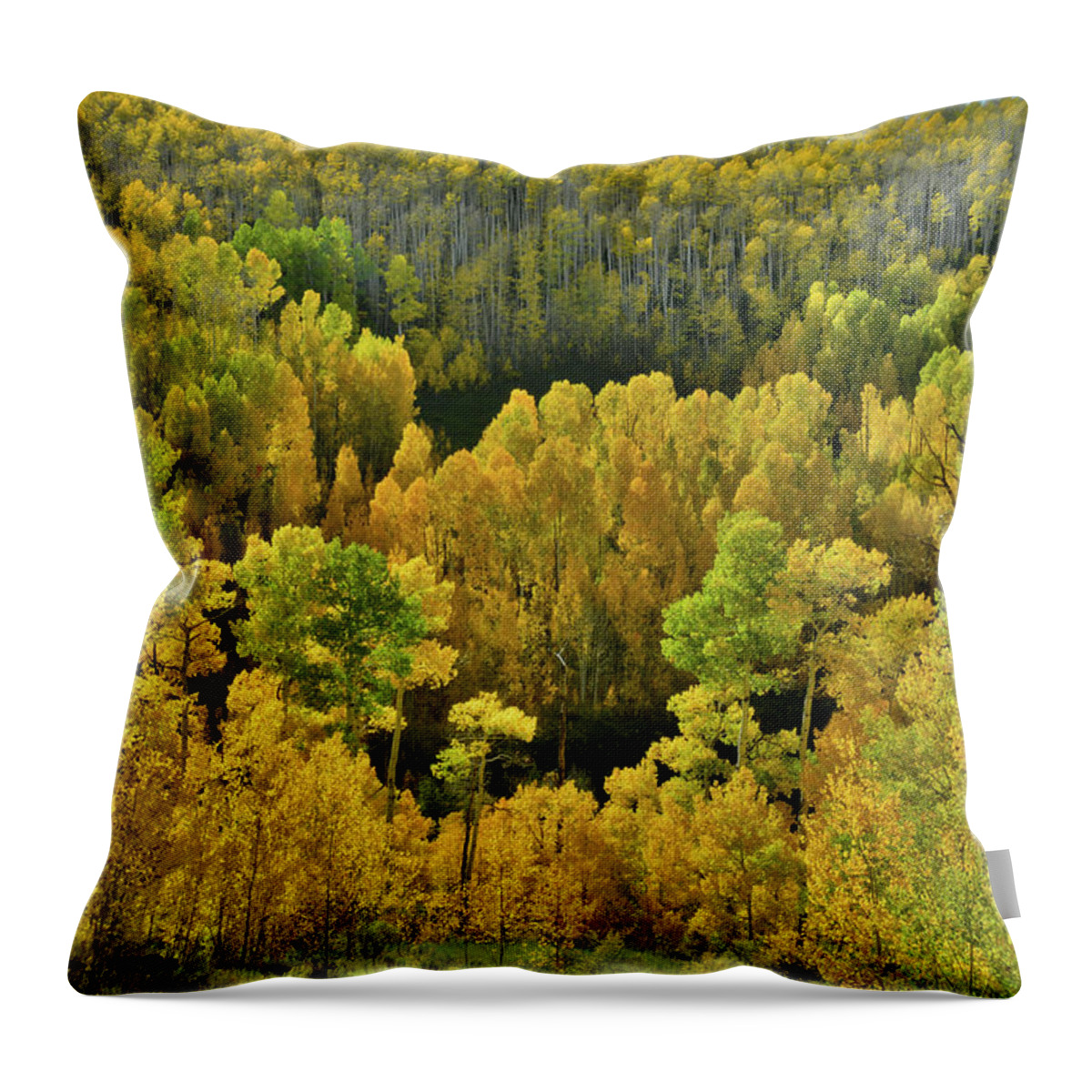 Wilson Mesa Throw Pillow featuring the photograph Beautiful Fall Colors at Woods Lake State Wildlife Area by Ray Mathis