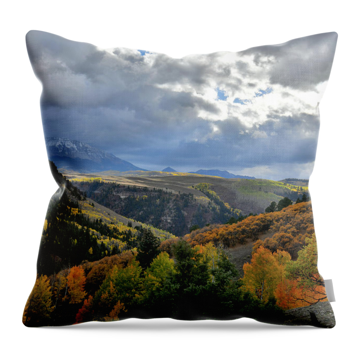 Highway 145 Throw Pillow featuring the photograph Beautiful Fall Colors Seen from Airport in Telluride by Ray Mathis