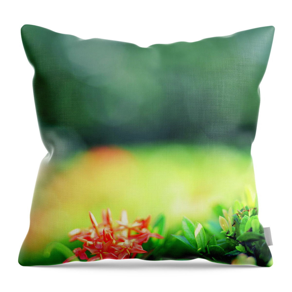 Flowerbed Throw Pillow featuring the photograph Beautiful Spring Flowers by Primeimages