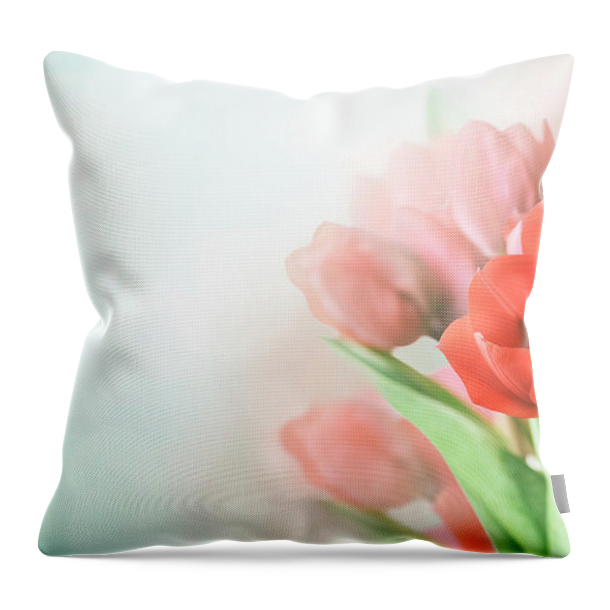 Tulips Throw Pillow featuring the photograph Beautiful spring tulip bouquet in garden with bokeh background. by Jelena Jovanovic