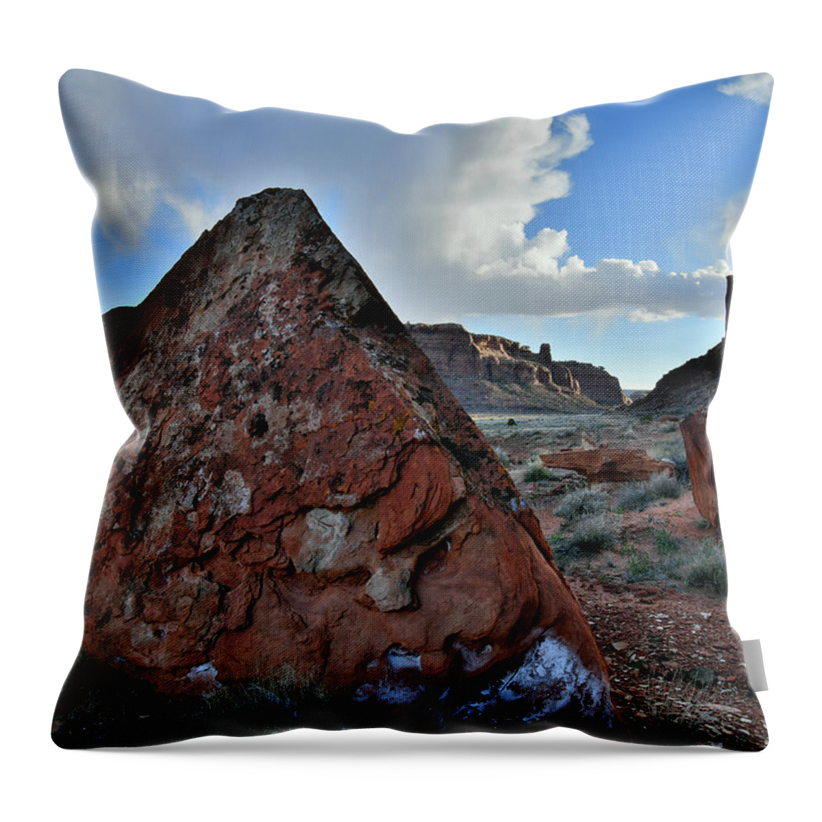Highway 313 Throw Pillow featuring the photograph Beautiful Utah 313 Corridor by Ray Mathis