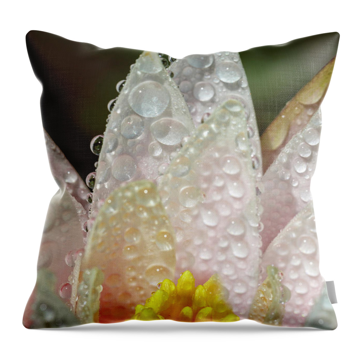 Beauty In The Rain Throw Pillow featuring the photograph Beauty In The Rain by Wes and Dotty Weber