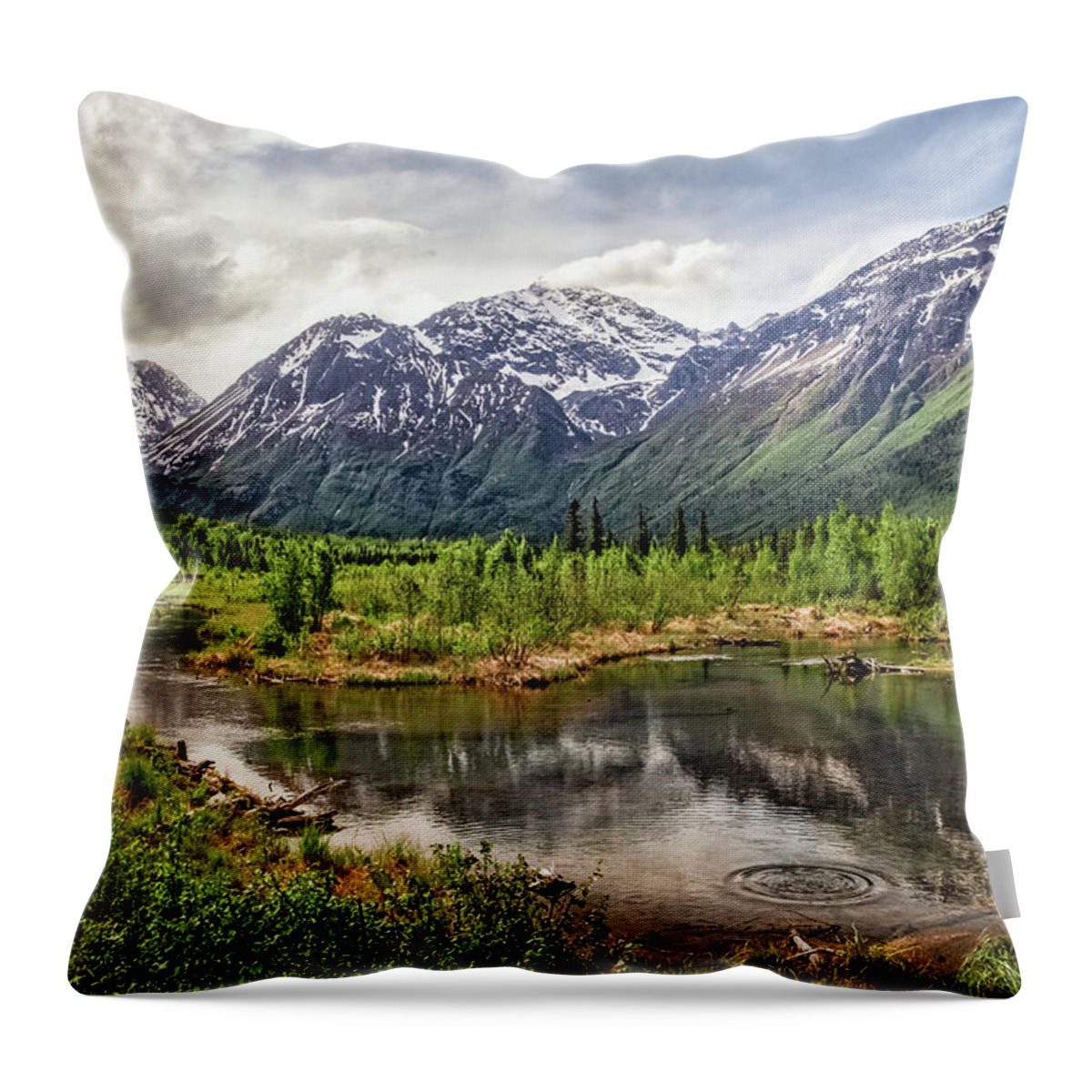 Alaska Throw Pillow featuring the photograph Beaver Pond, Eagle River AK by James Capo