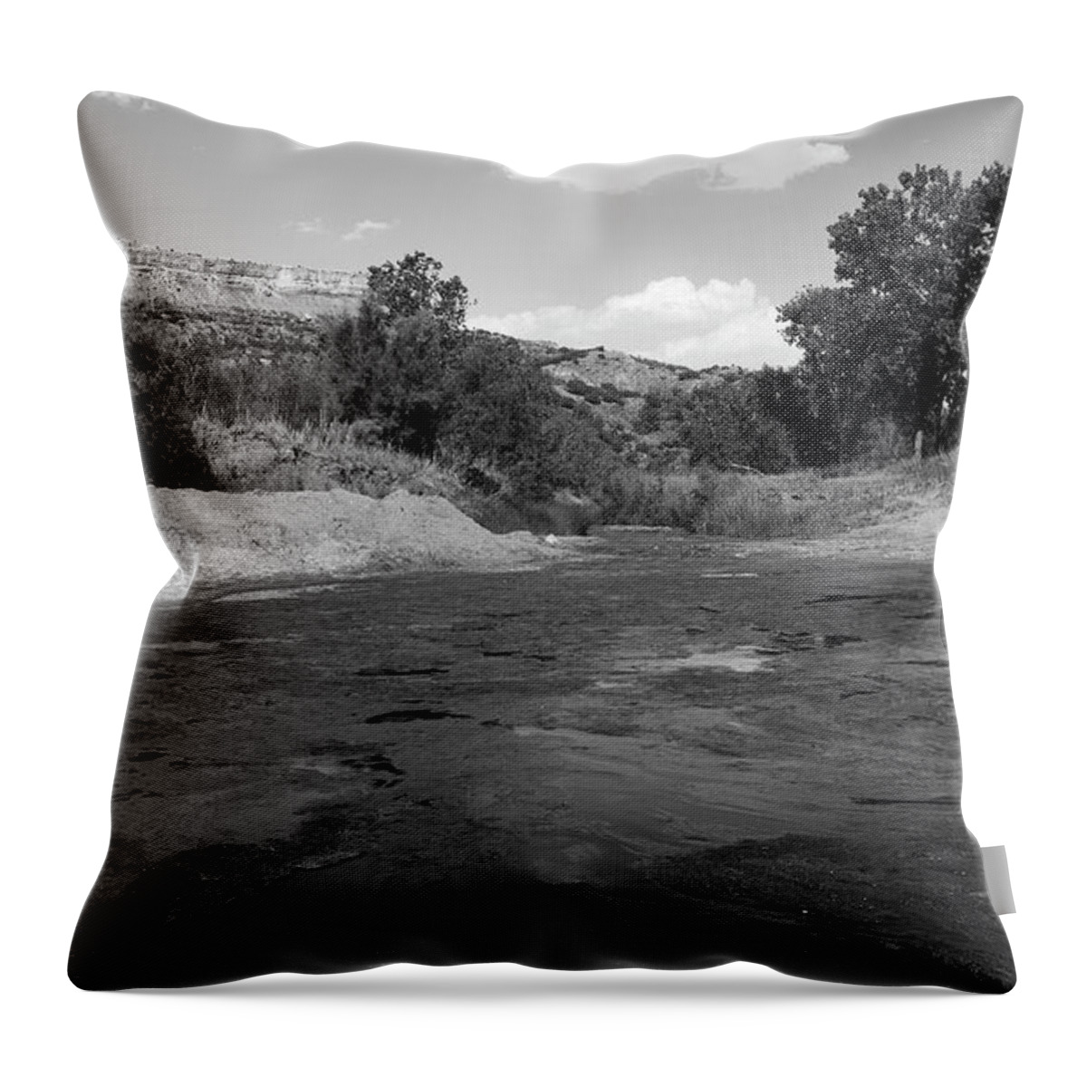 Richard E. Porter Throw Pillow featuring the photograph Prairie Dog Town Fork of the Red River - Palo Duro Canyon State Park, Texas by Richard Porter