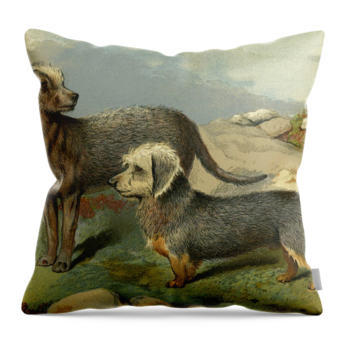 Kennels Throw Pillow featuring the painting Bedlington & Dinmont Terriers by Vero Shaw