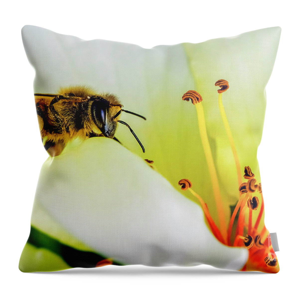 Bee Throw Pillow featuring the photograph Bee by Bill Frische