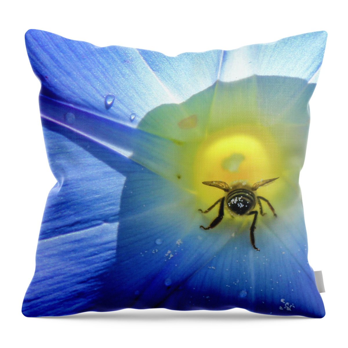 Flower Throw Pillow featuring the photograph Bee in the Light by Kim Yarbrough