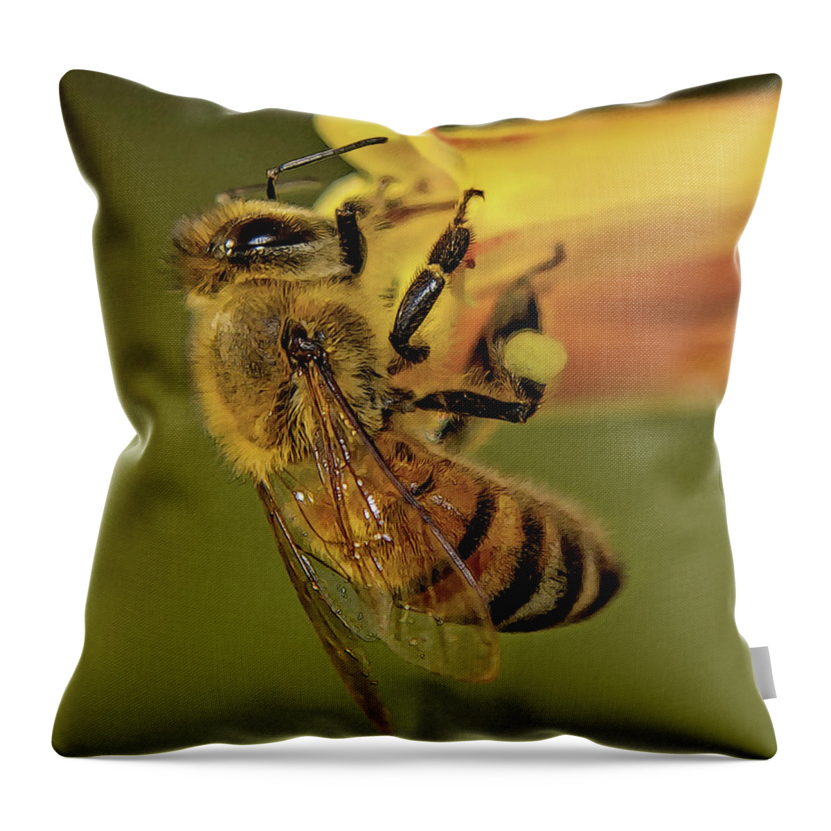 Bee Throw Pillow featuring the photograph European Honey Bee by Larry Linton