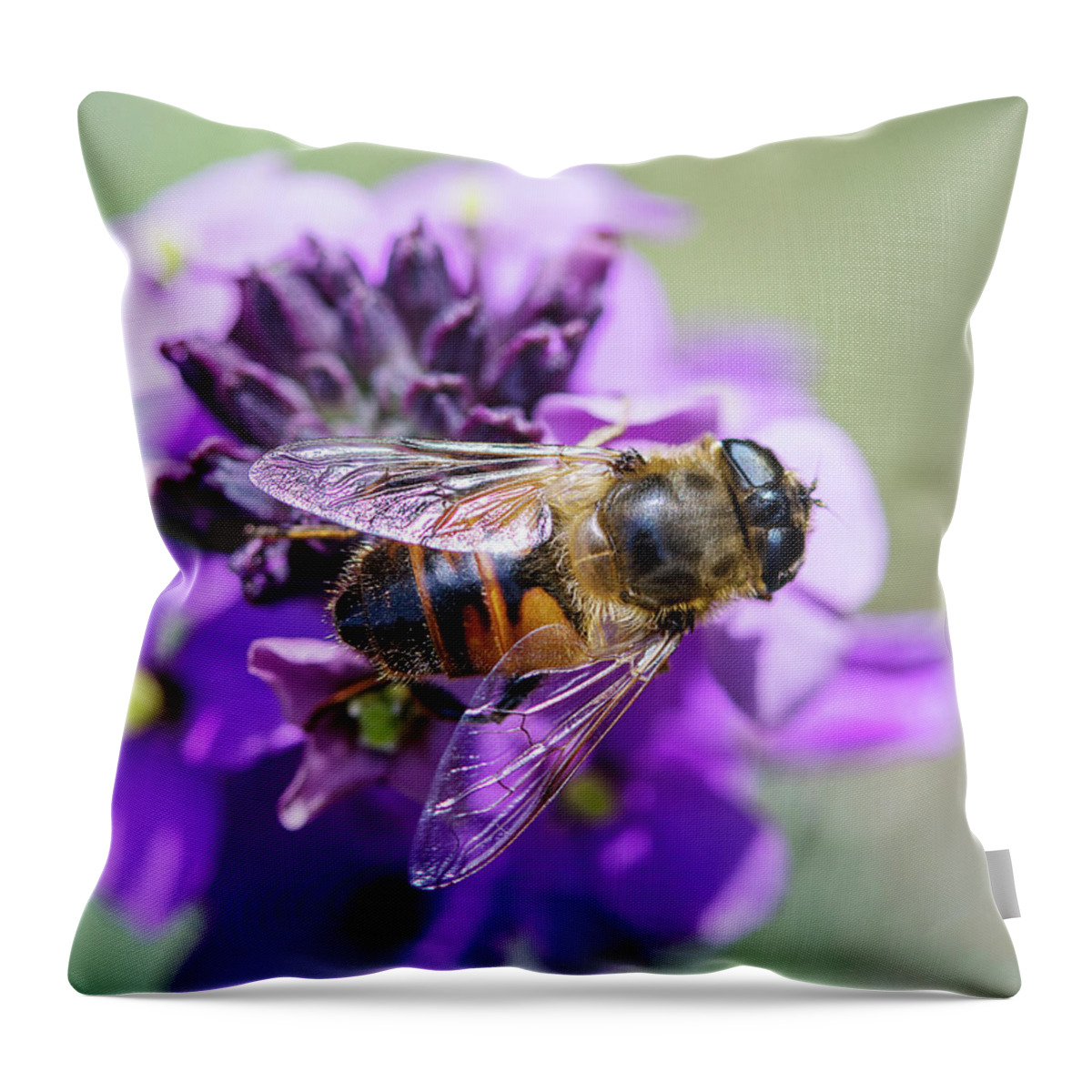 Flowers Throw Pillow featuring the photograph Bee on Top by Rebecca Cozart