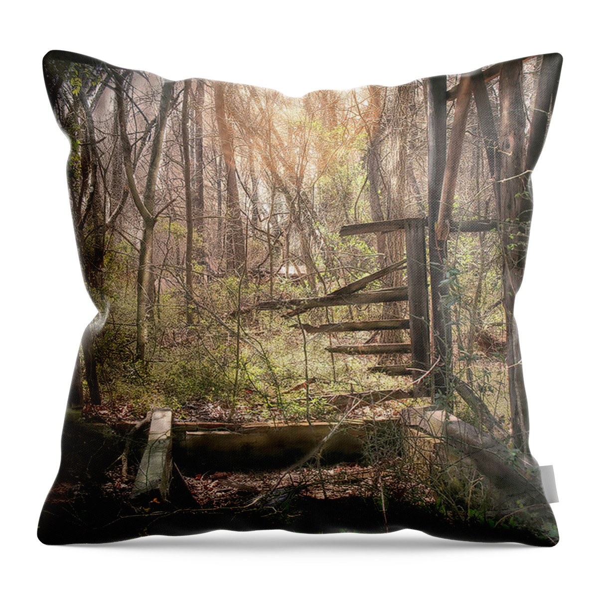 Building Throw Pillow featuring the photograph Been There by Bonnie Willis