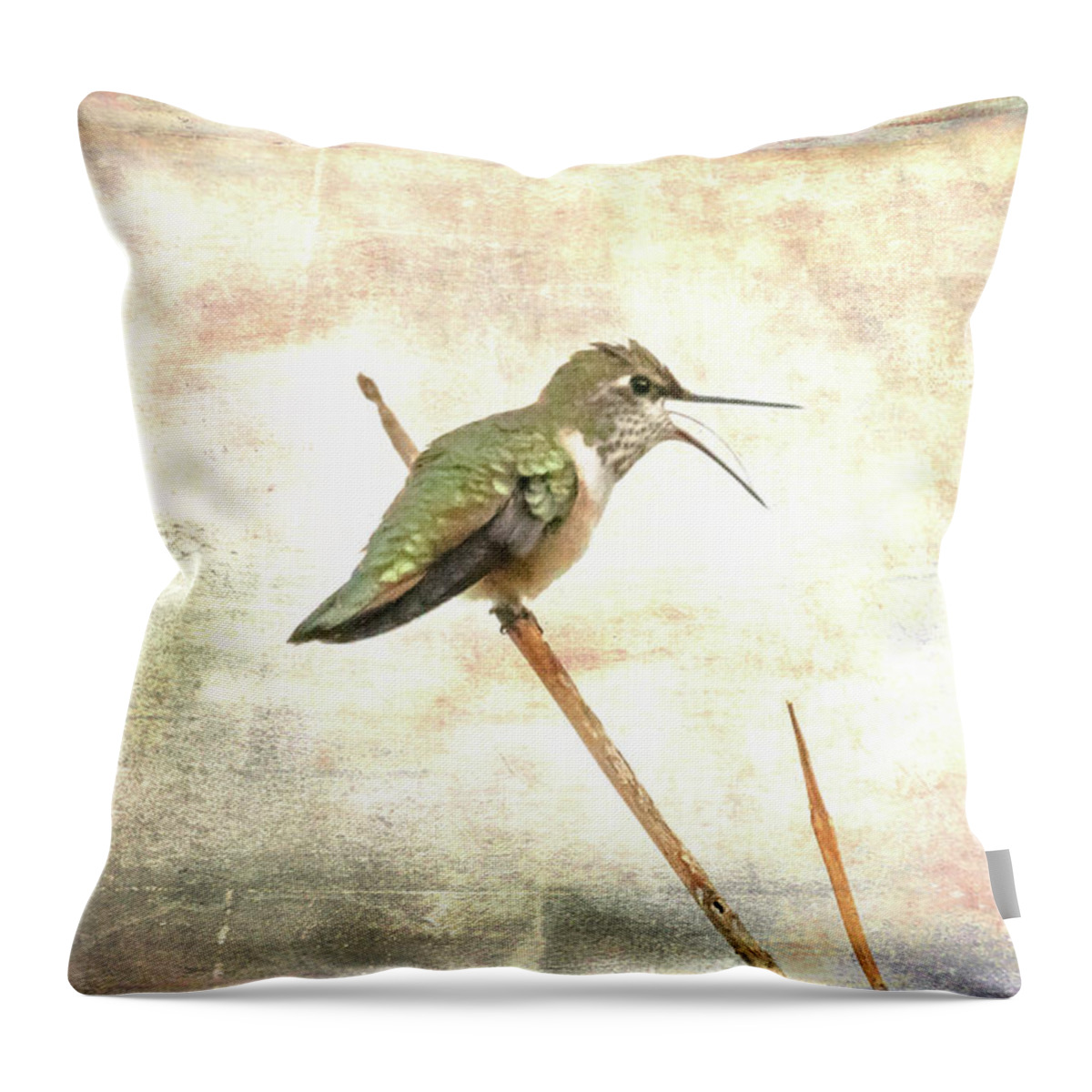 Hummingbird Throw Pillow featuring the photograph Begging to Be Fed by Jennifer Grossnickle
