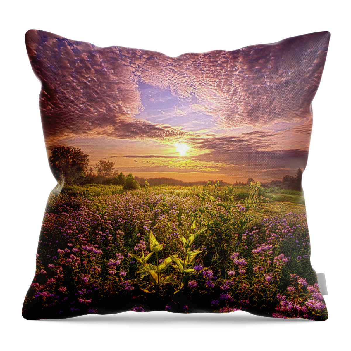 Life Throw Pillow featuring the photograph Beginnings #1 by Phil Koch