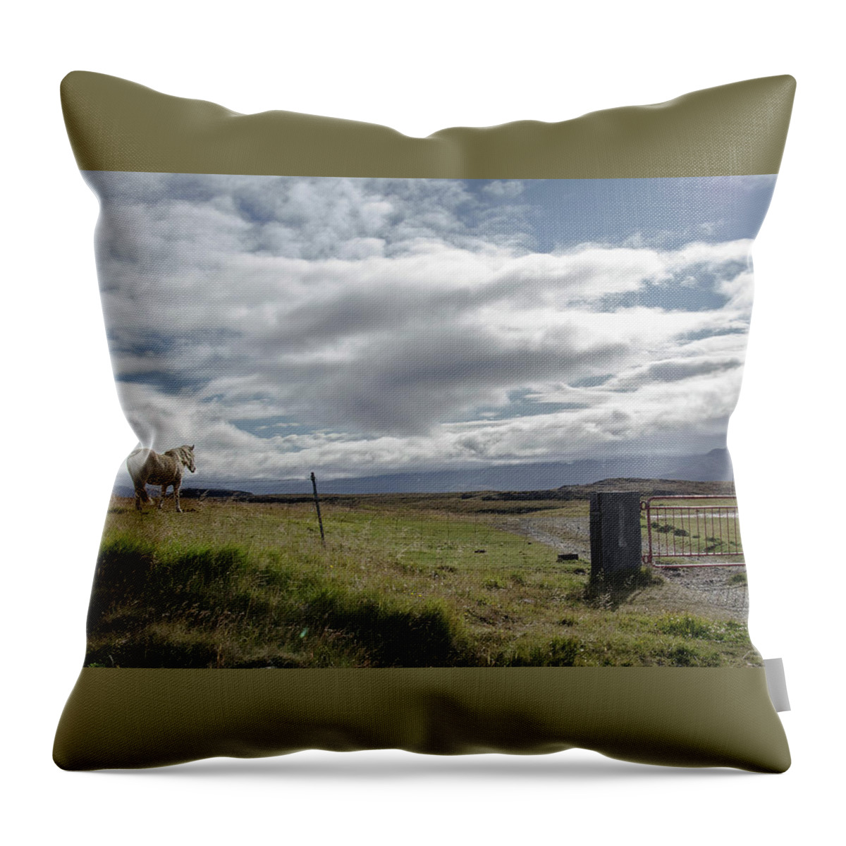 Iceland Throw Pillow featuring the photograph Behold A Pale Horse by Jim Cook