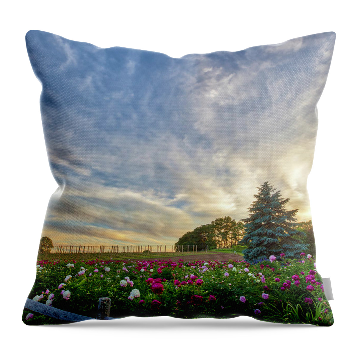 Belkin Family Lookout Farm Throw Pillow featuring the photograph Belkin Family Lookout Farm by Juergen Roth