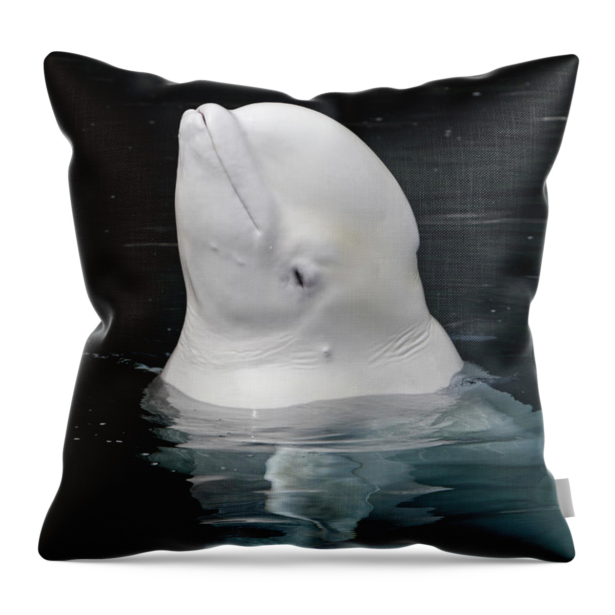 Standing Water Throw Pillow featuring the photograph Beluga by Sylvain Cordier