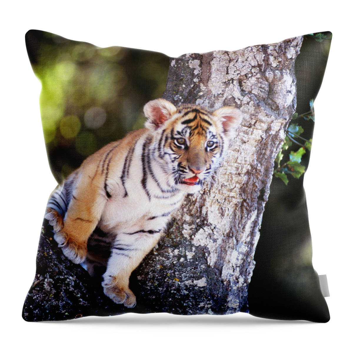One Animal Throw Pillow featuring the photograph Bengal Tiger Cub Panthera Tigris Tigris by Mike Hill