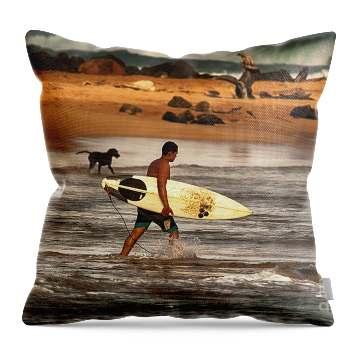 Beach Throw Pillow featuring the photograph Best Friends by Eye Olating Images