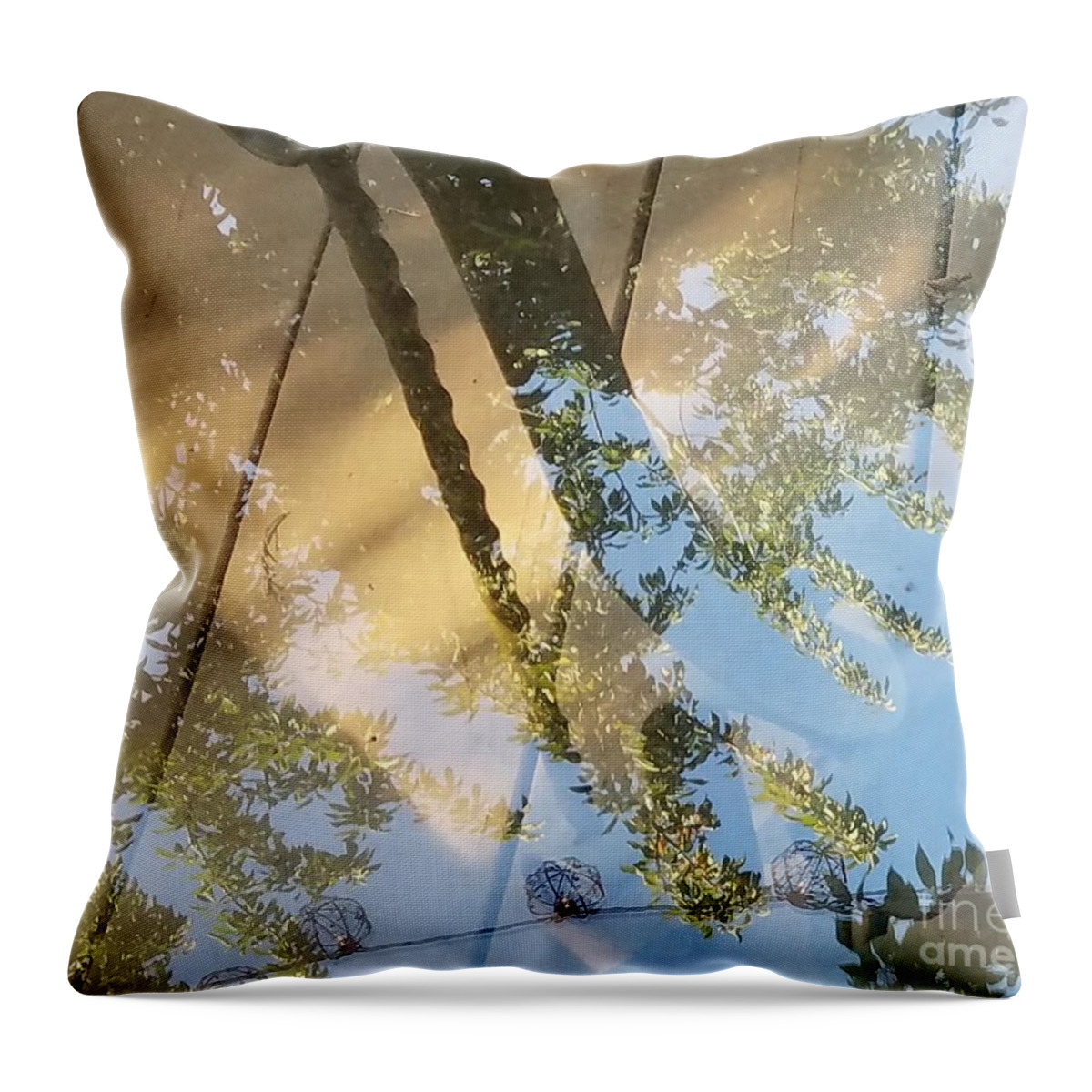 Reflections Photography Throw Pillow featuring the photograph Reflections Between the cracks by Lisa Debaets