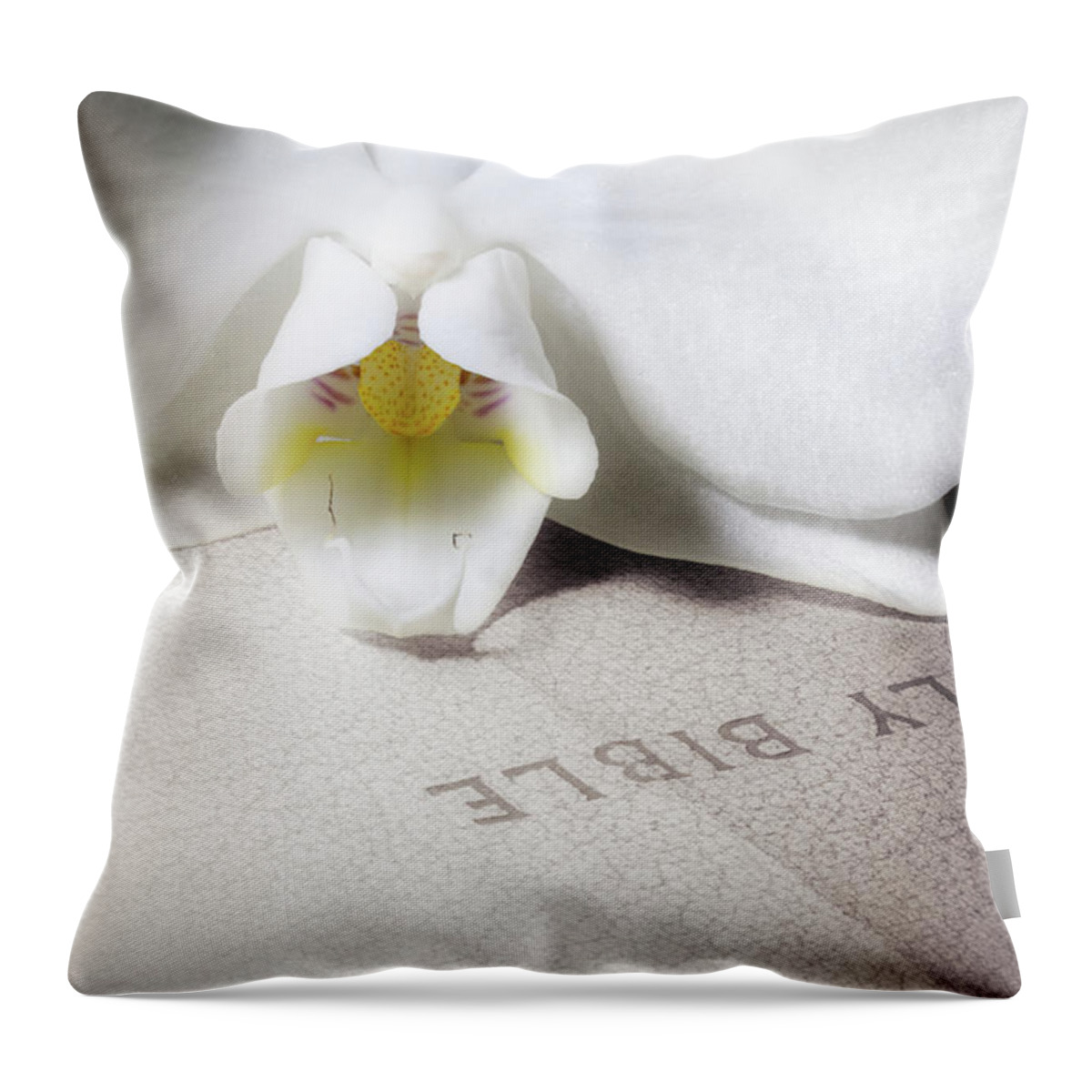 Bible Throw Pillow featuring the photograph Bible with White Orchid by Tom Mc Nemar