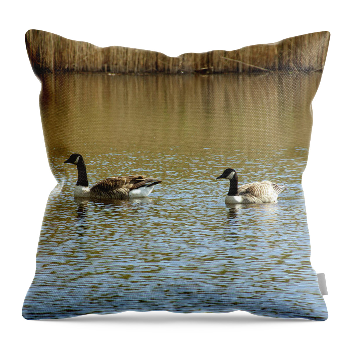 Wirral Throw Pillow featuring the photograph  BIDSTON. Bidston Moss Wildlife Reserve. Two Geese. by Lachlan Main