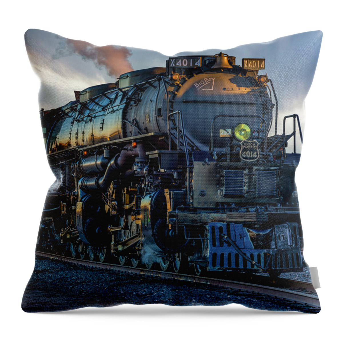 Arizona Throw Pillow featuring the photograph Big Boy 2 by Peter Tellone