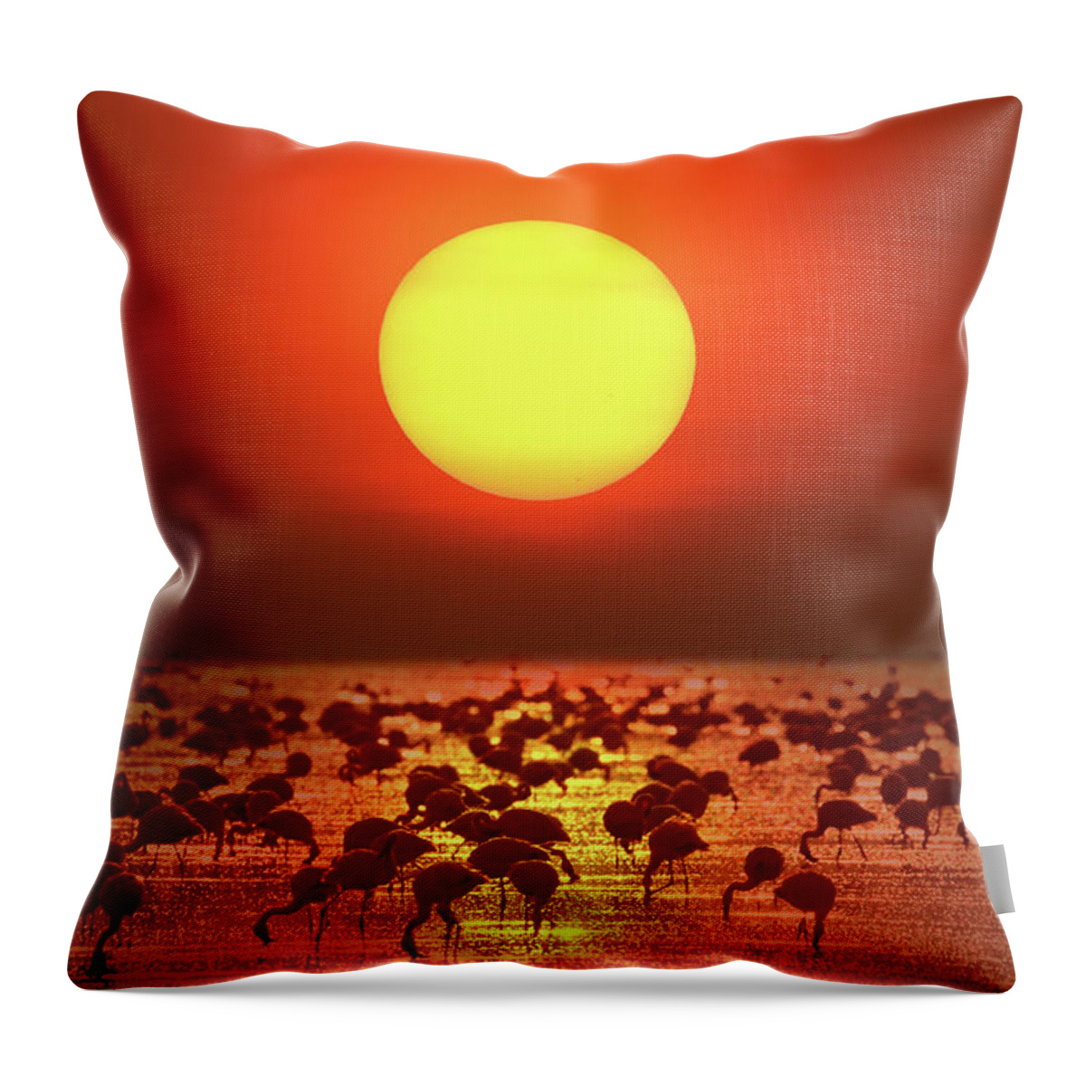 Scenics Throw Pillow featuring the photograph Big Sunset & Flamingo by Photo By Prasit Chansareekorn